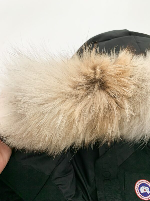 微信图片_20251209114455_661_44