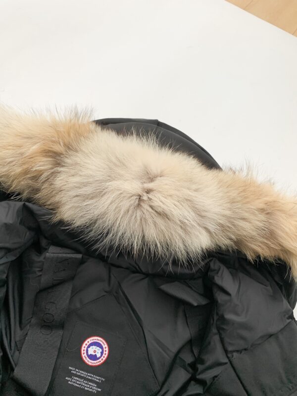 微信图片_20251209114456_662_44