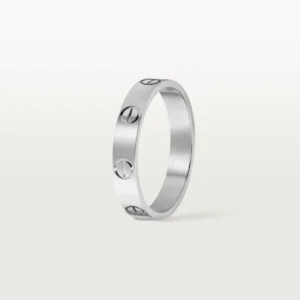 Whispers of Infinity – The Platinum Circle That Never Breaks small model 2
